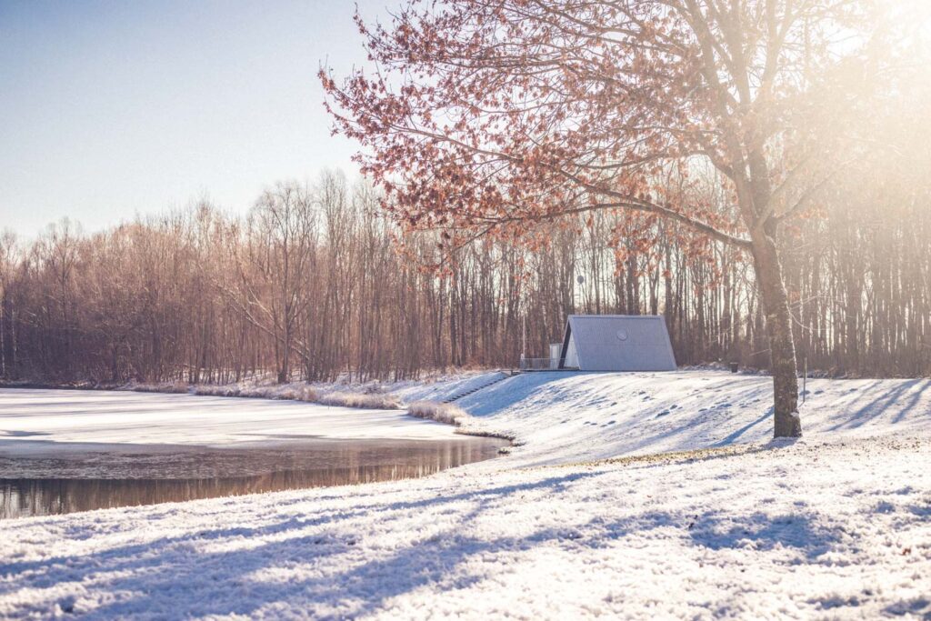 snow in the winter