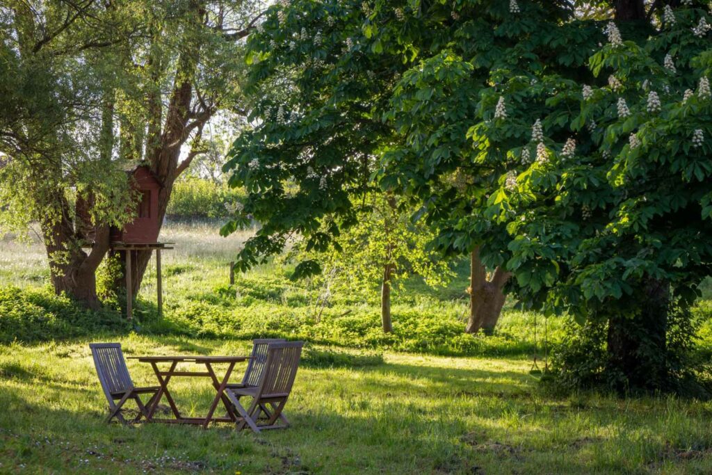 Relaxing backyard