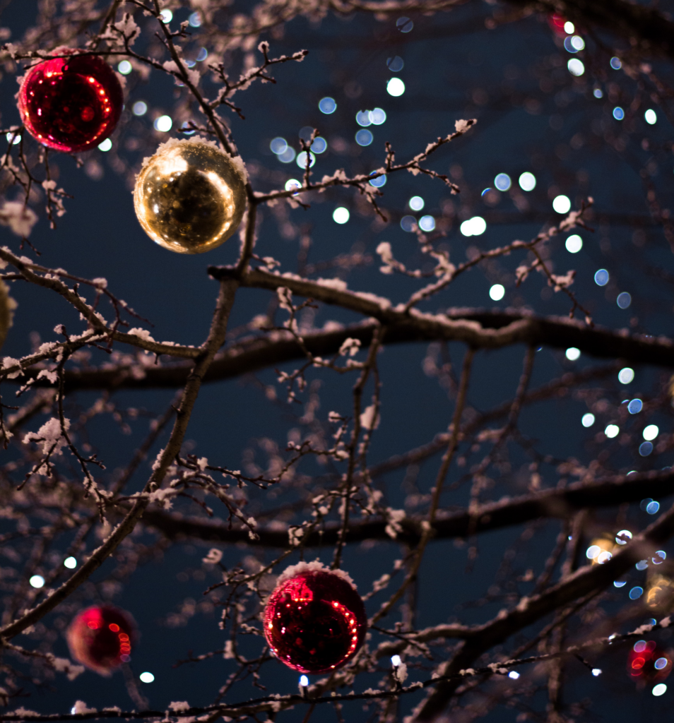 ornaments on a tree