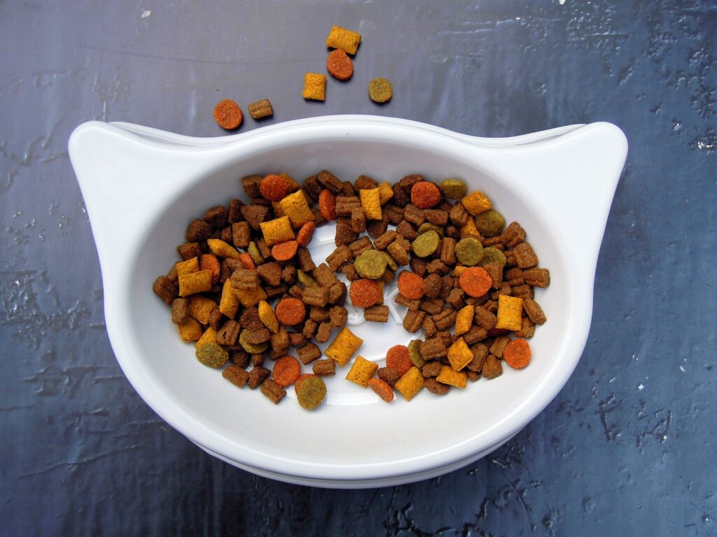 bowl of pet food